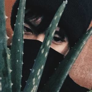 Meet your Posher, Toan